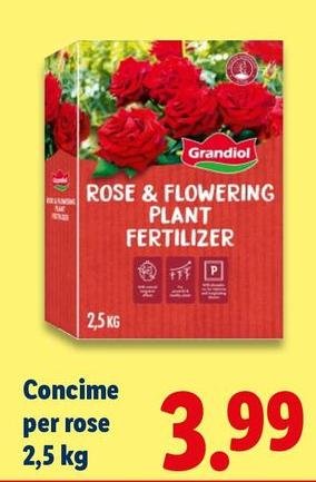 Grandiol - Concime Per Rose