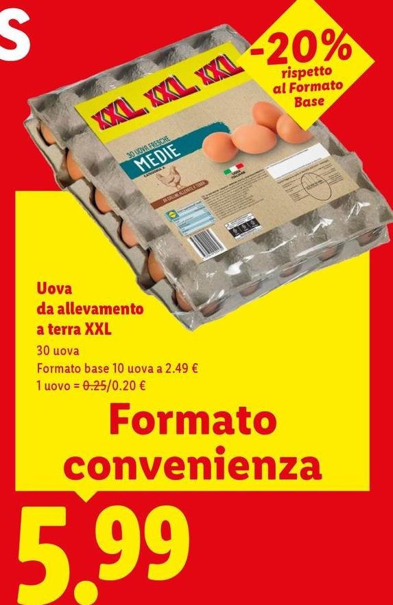 Uova Da Allevamento A Terra XXL