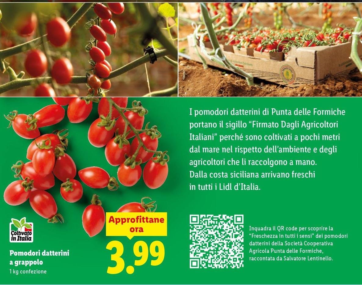 Pomodori Datterini A Grappolo