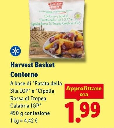 Harvest Basket - Contorno