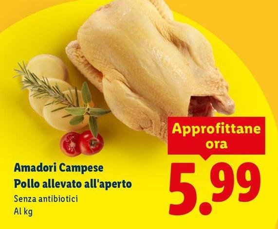 Amadori Campese - Pollo Allevato All'Aperto