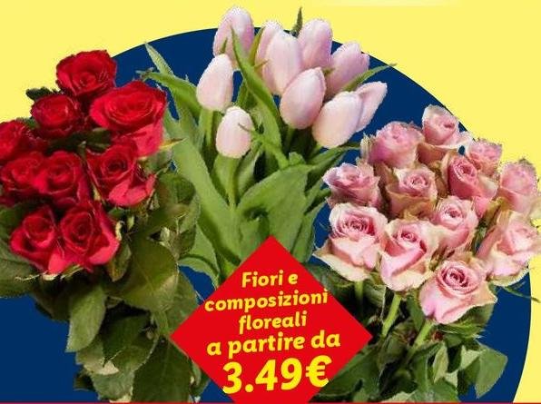 Fiori E Composizioni Floreali