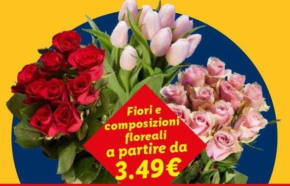 Fiori E Composizioni Floreali