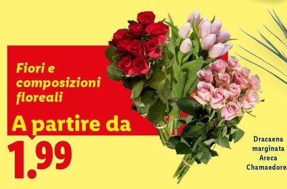 Fiori E Composizioni Floreali