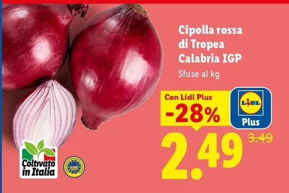 Cipolla Rossa Di Tropea Calabria IGP