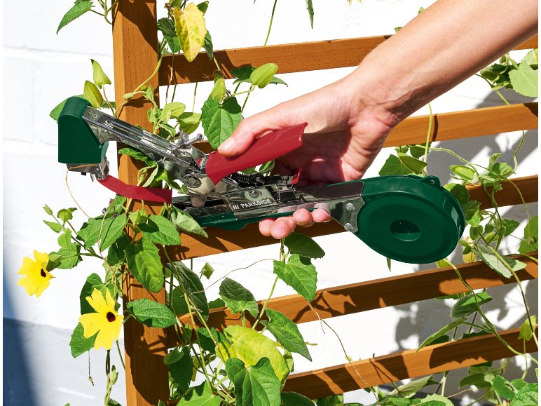 Set pinza legatrice a nastro per piante