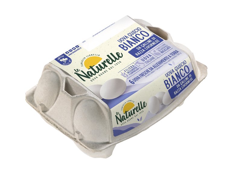 6 Uova guscio bianco da razza livornese