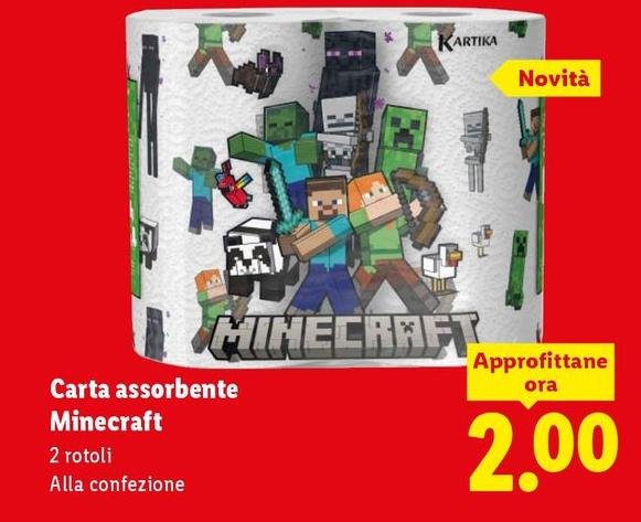 Carta Assorbente Minecraft