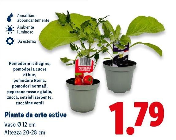 Cuore - Piante Da Orto Estive