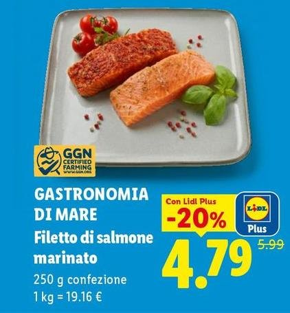 Gastronomia Di Mare - Filetto Di Salmone Marinato