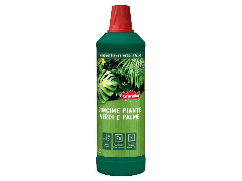Concime per piante verdi e palme