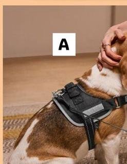 Zoofari - Pettorina Per Cani