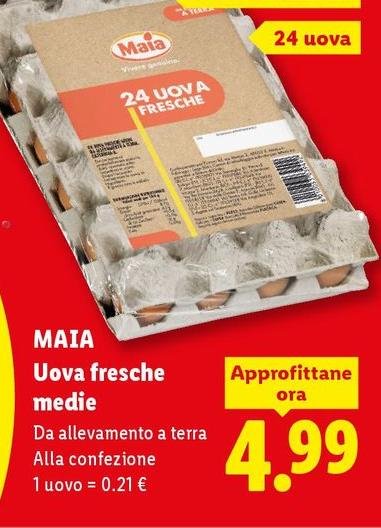 Maia - Uova Fresche Medie