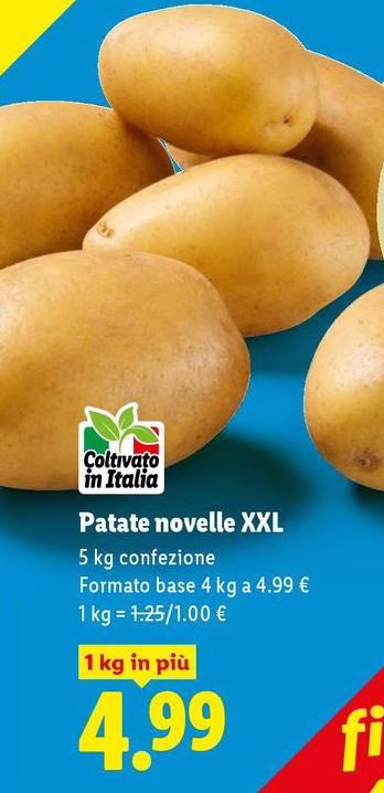 Patate Novelle Xxl
