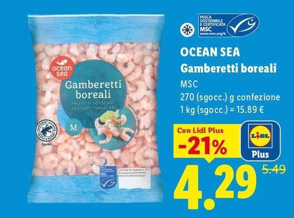 Ocean Sea - Gamberetti Boreali