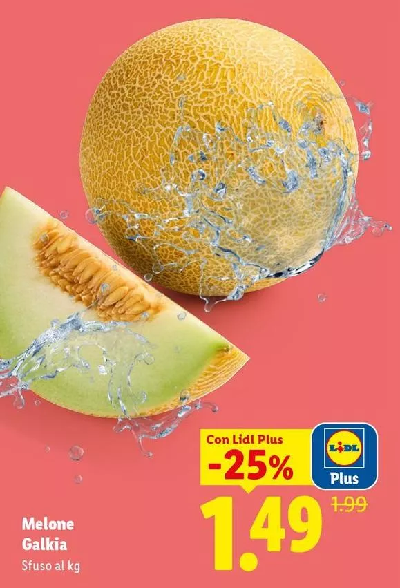 Melone Galkia