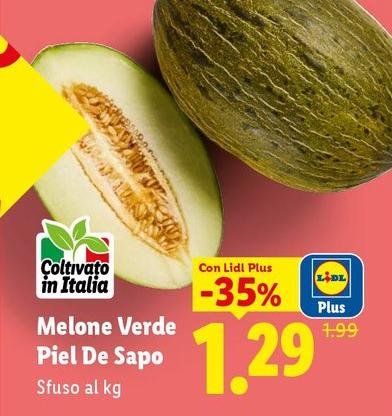 Melone Verde Piel De Sapo