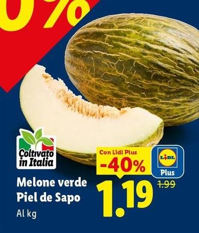 Melone Verde Piel De Sapo