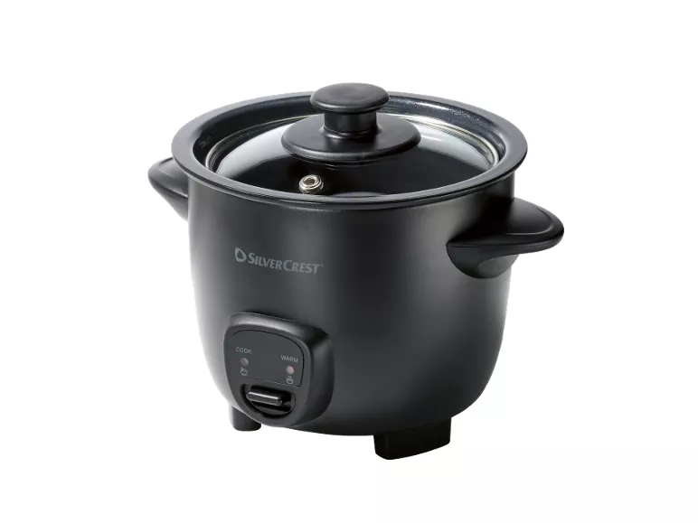 Mini cuociriso elettrico