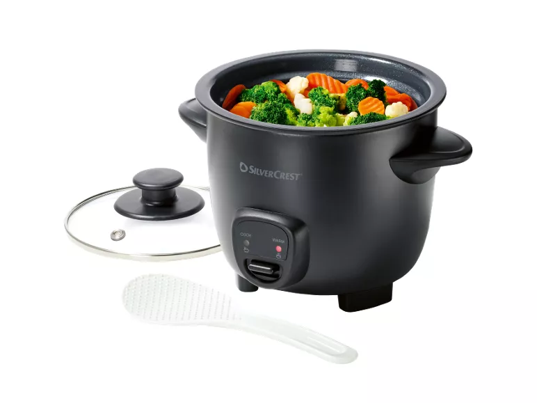 Mini cuociriso elettrico