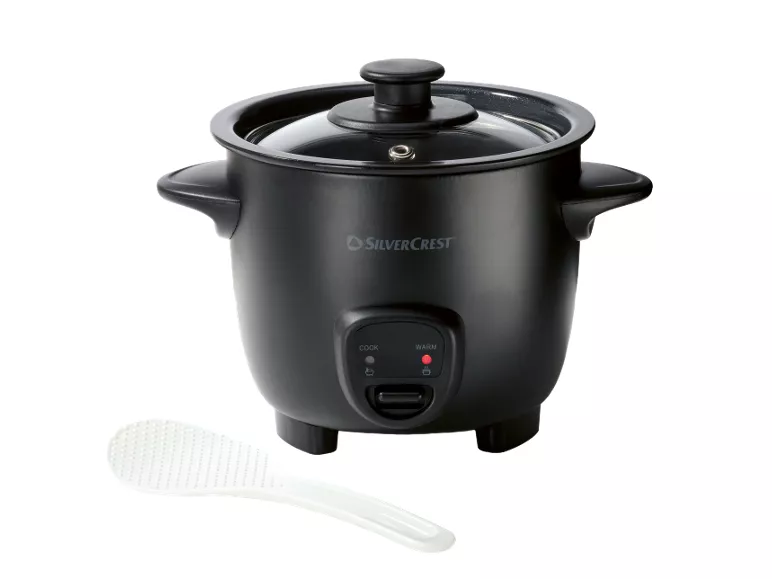 Mini cuociriso elettrico