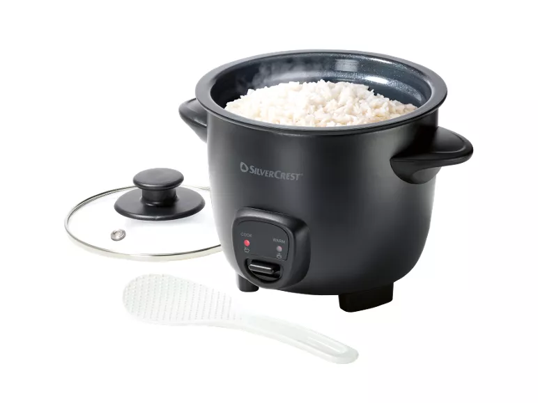 Mini cuociriso elettrico