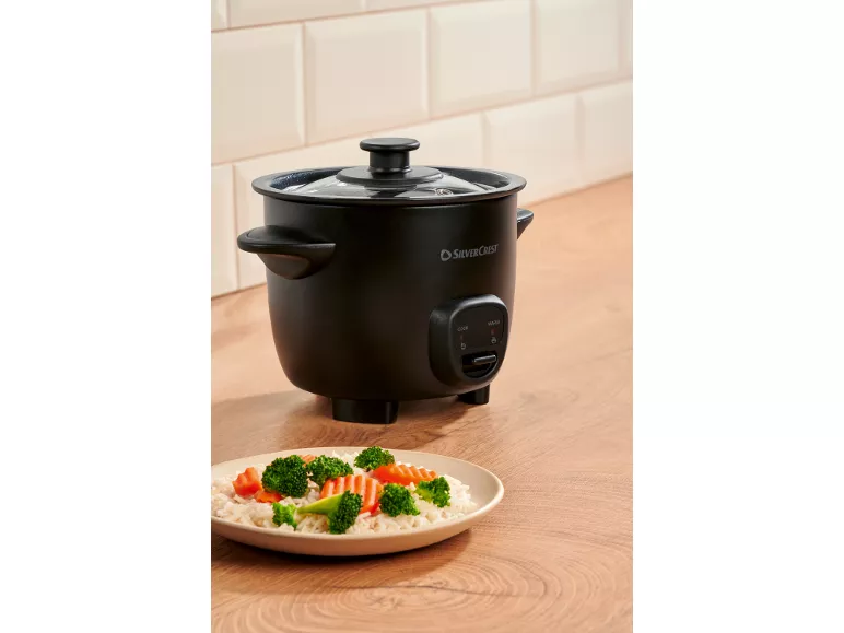 Mini cuociriso elettrico