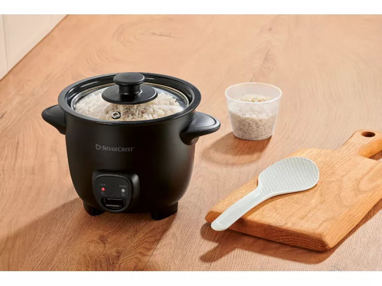 Mini cuociriso elettrico