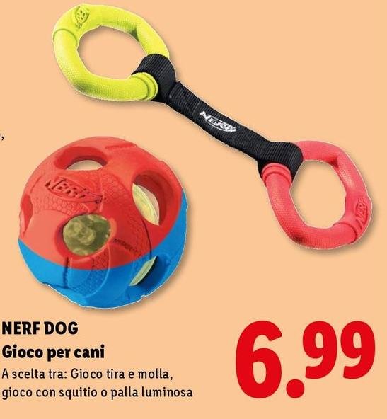 Nerf Dog - Gioco Per Cani