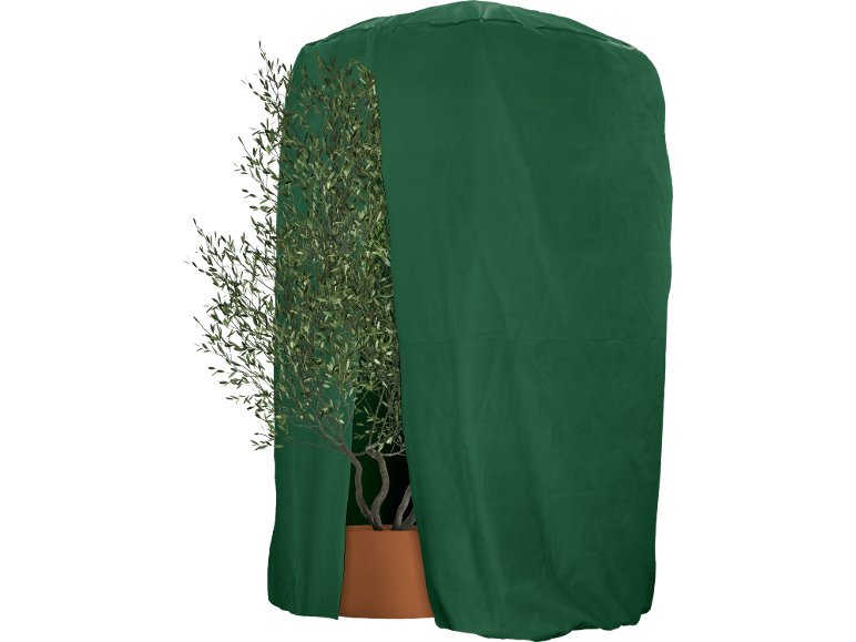 Telo proteggi piante 250x340 cm