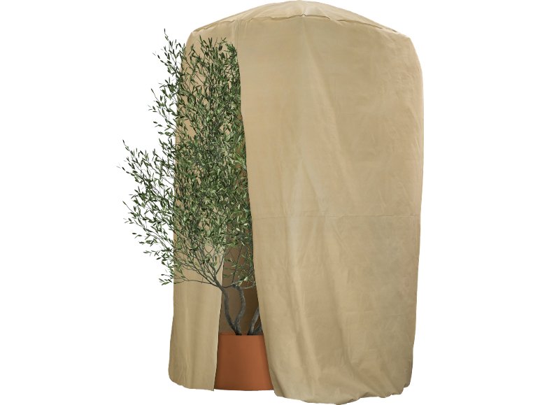 Telo proteggi piante 250x340 cm