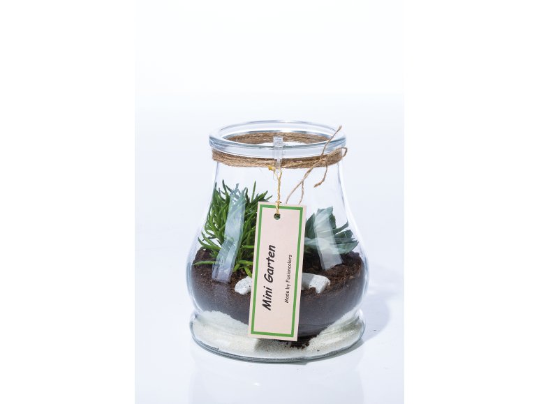 Succulente in vaso decorativo