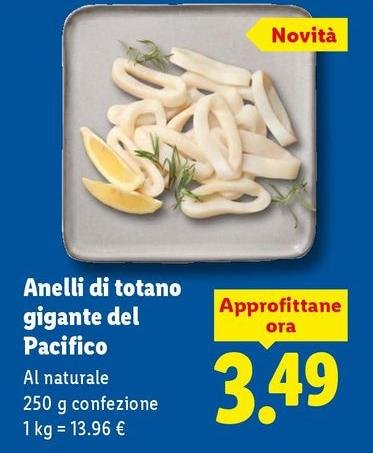 Anelli Di Totano Gigante Del Pacifico