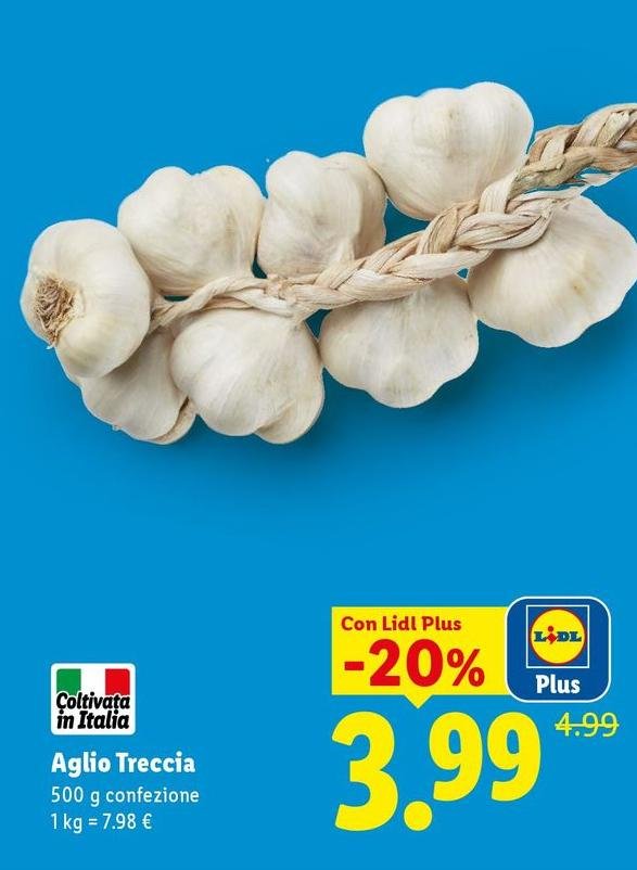 Aglio Treccia