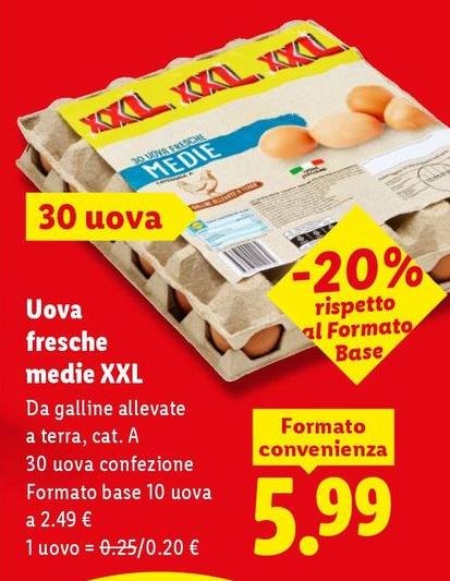 Uova Fresche Medie Xxl