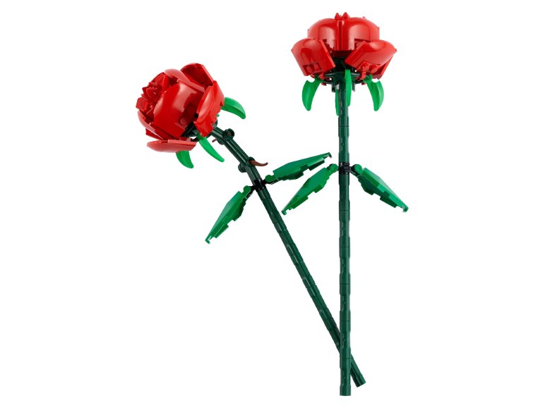 Costruzioni Botanicals "Lego"