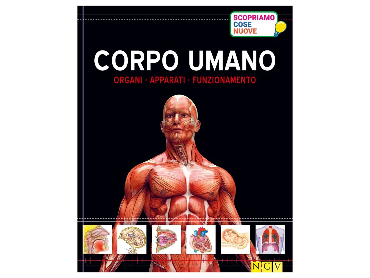 Libro educativo per bambini