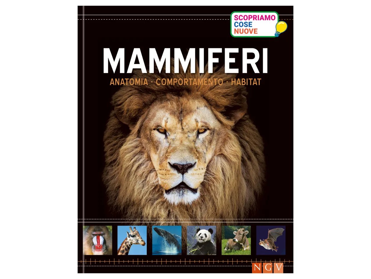 Libro educativo per bambini