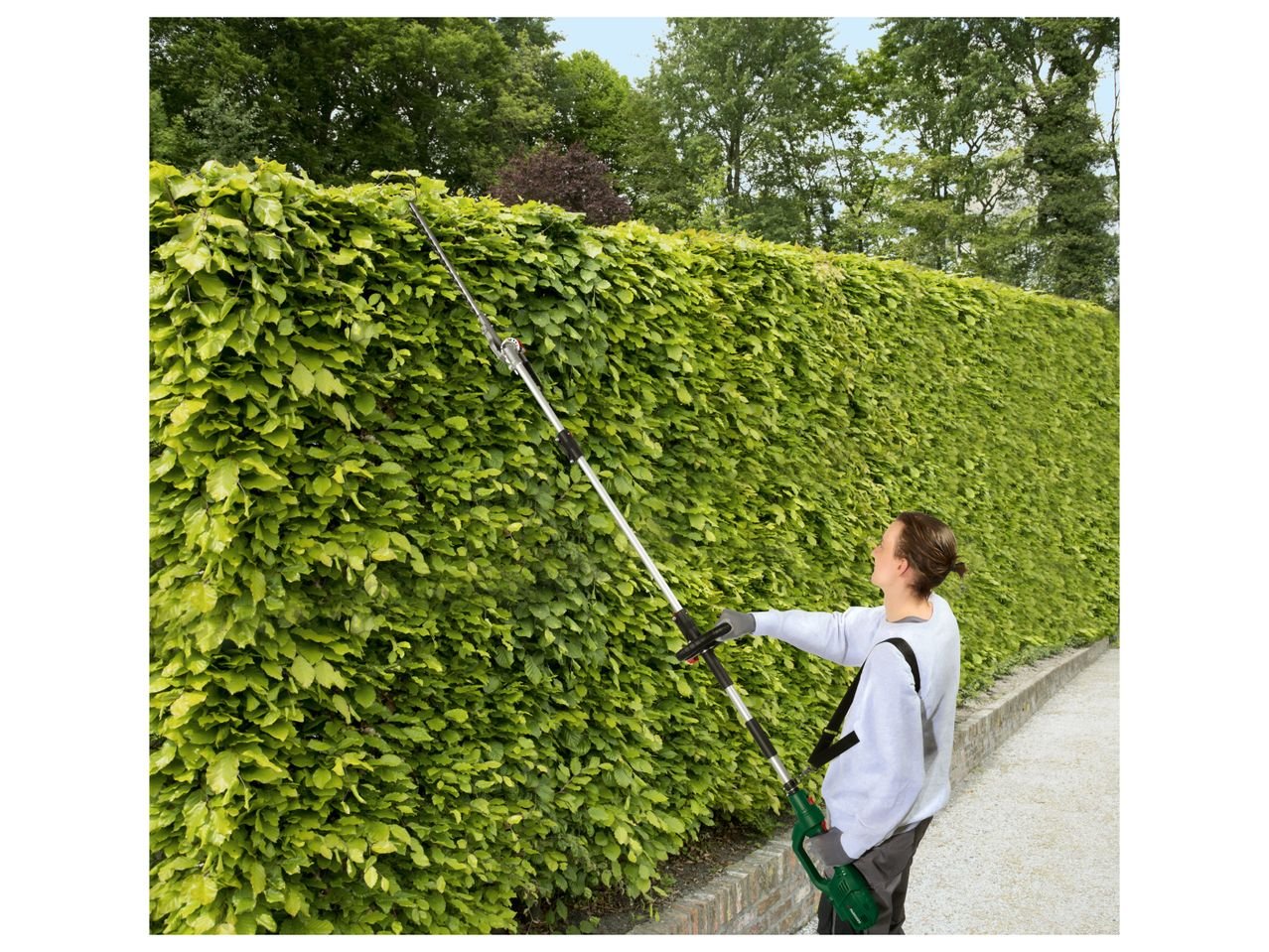 Tagliasiepi elettrico a braccio lungo