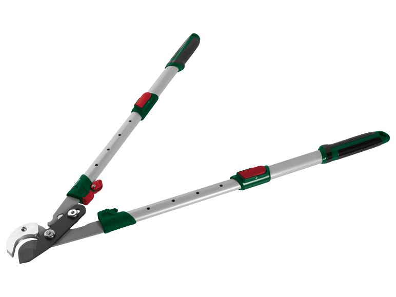 Tagliarami telescopico