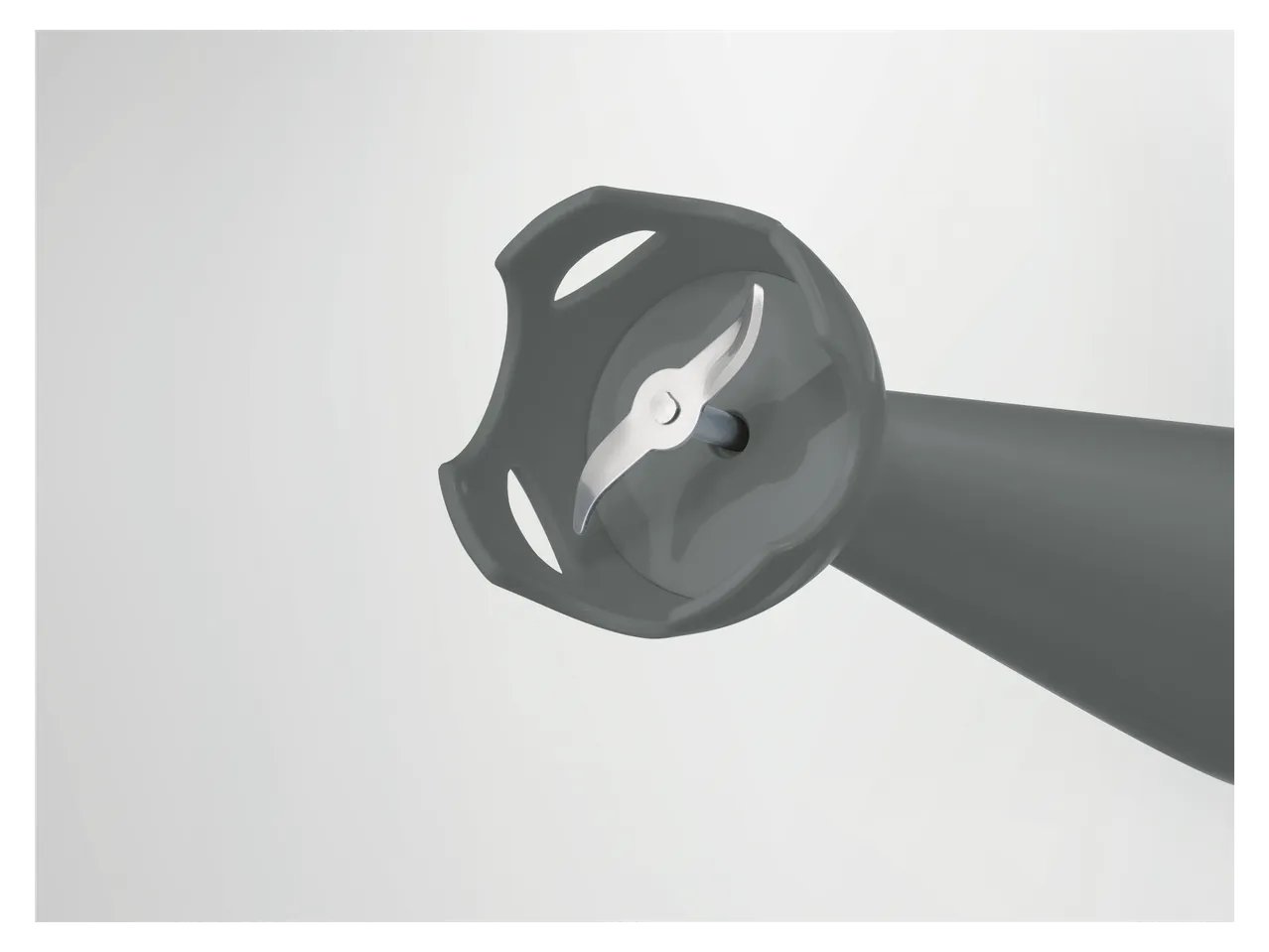 Frullatore ad immersione