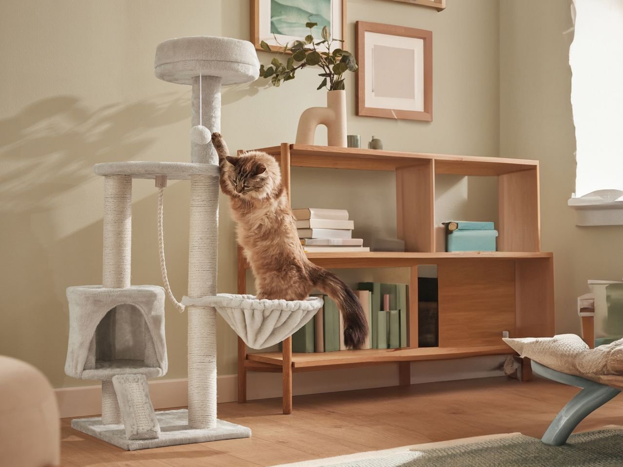 Tiragraffi a torre per gatti