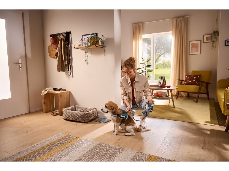 Pettorina per cani