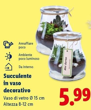 Vaso Di Vetro