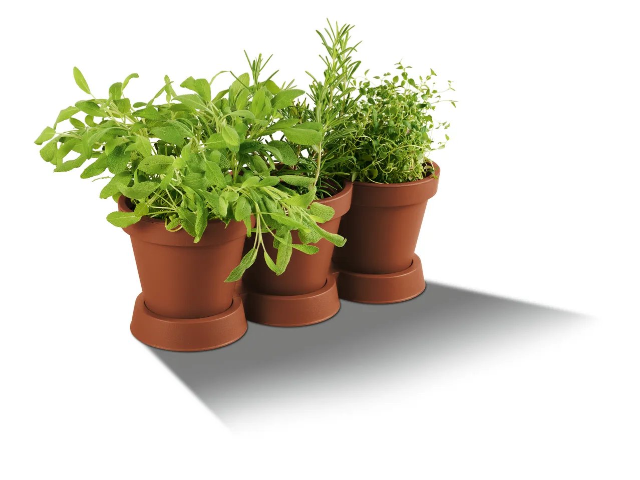 Vaso triplo per piante