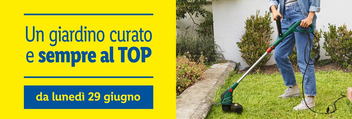 Giardino - Offerte valide da lun 29 giugno 2020