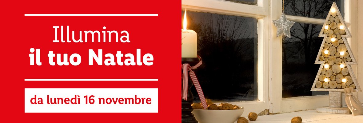 Decorazioni - Offerte valide da lun 23 novembre 2020