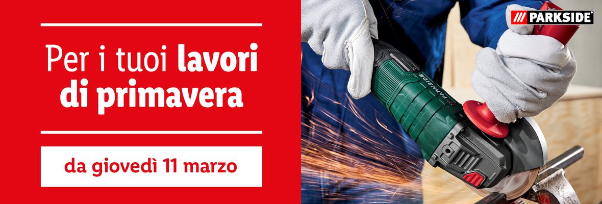 Fai da te - Offerte valide da gio 11 marzo 2021