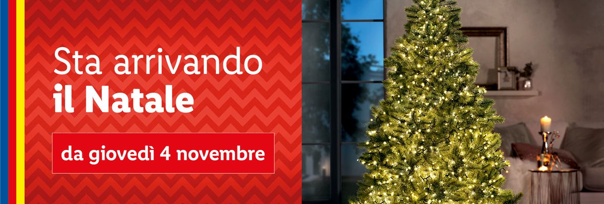 Preparati alle feste - Offerte valide da gio 04 novembre 2021