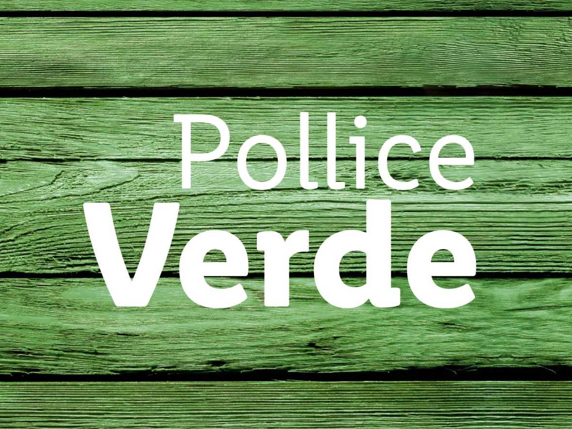 Piante & Recisi - Offerte valide da ven 30 giugno 2023